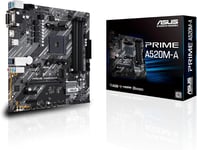 Mb Amd Am4 Prime A520M-A Ii/Csm