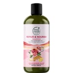 Petal Fresh Pure Ginger & Rosewater Shampoo 475 ml