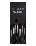 Sigma Soft Blend Brush Set