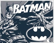 Signs 4 Fun SIG1731 Batman Comic Logo Metal Tin Sign, Blue