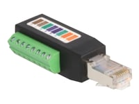 Delock - Nätverkskort - 8-Stifts Terminalblock (Hane) Vinklad Till Rj-45 (Hane) - Utp - Cat 5E - Svart, Grön