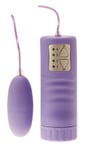 VIBRATOR BULLET Egg Sex Toys Remote Multispeed Vibe DISCREET AQUA SILK