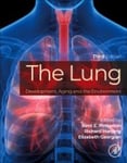 The Lung