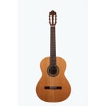 Recital 200 Classical Guitar