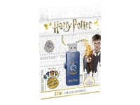 EMTEC Harry Potter M730 Ravenclaw - Clé USB - 32 Go - USB 2.0