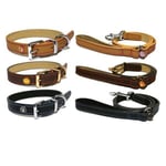 Rosewood Dog Puppy Luxury Leather Collar / Lead With Decorative Buttons & Charms