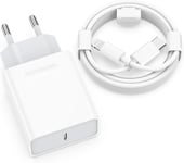 20W Rapide Chargeur pour iPhone 14/14 Plus/14 Pro/14 Pro Max 13 12 11 SE X XS XR SE 8 7 6 6S, AirPods, iPad, USBC Secteur Prise 2M Cable USB C Mural Alimentation Adaptateur