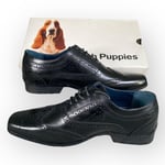 Hush Puppies Mens Shoes UK 7 Black Leather Smart Formal Derby Brogues Lace Up