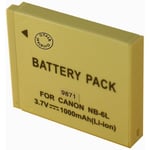 Batterie pour RICOH POWERSHOT D10