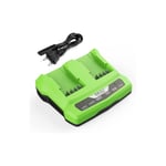 M-e - Chargeur de Batterie 24 v pour Greenworks Tools 24 v Compatible avec Toutes Les Batteries de la série Greenworks 24 v 2A