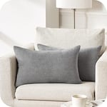 Topfinel Housse Coussin 30x50 cm Decoration Canape Gris Salon Scandinave Lot de 2 Taie d'oreiller Rectangulaire de Voiture Chaise Double Face à Motif Uni en Chenille Doux Hypoallergénique