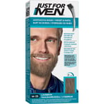 Just For Men Light Brown Beard M25