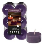 Spaas 12 Maxi Clearlights parfumées, bougies chauffe-plats cup transparente, ± 8 heures - Wild Orchid 0392155.184 D 56 mm x H 21 mm