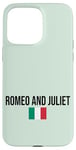 Coque pour iPhone 15 Pro Max Romeo and Juliet Love Illustration Novelty Graphic Designs