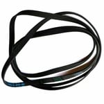 HOTPOINT TCFM 90C 6P (UK) TCFS73BGGUK TUMBLE DRYER DRIVE BELT 1991   C00300793