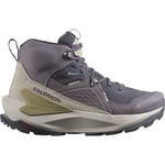 Salomon Women's Elixir Mid GORE-TEX Nine Iron/Shark/Silver Cloud, Nine Iron / Shark / Silver Cloud, 41 1/3