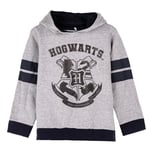 À Capuche Coton Brushed Harry Potter Gris - 10 Âge Unisexe Cerdà