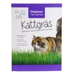 Kattgräs