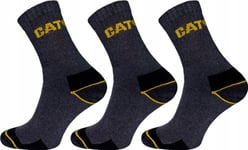 Cat Male Socks Cat Dyp597 Gray 41/45 3Pr