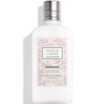 L'OCCITANE Limited Edition Cherry Blossom Body Lotion 250ml (Exclusive)