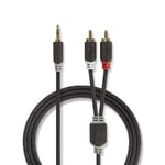 Stereoljudkabel - minijack 3,5 mm till 2xPhono (RCA) kabel 2 m