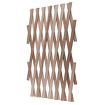 Windhager Treillis en Bois pour Plantes grimpantes Pliables et réglables 60 x 180 cm