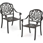 Lot de 2 Chaises de Jardin en Fonte d'Aluminium, Chaises de Biatro avec Accoudoirs, Chaise Salon de Jardin Empilable, pour Terrasse, Balcon, Cour