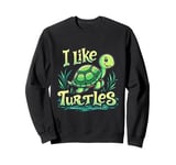 I Like Turtles Cartoon Turtle Sweatshirt