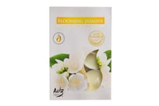 Doftljus Värmeljus Blommande Jasmin 6-Pack