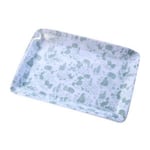 Peter Rabbit Classic Pattern Green Scatter Tray