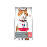 Hill'S Science Plan Sterilised Cat Adult 1-6 - Dry Food For Cats 300 G