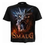 The Hobbit: The Desolation of Smaug Unisex Adult Back Print T-Shirt - M