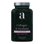 Collagen Hyaluron