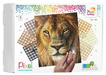 Pixel P090046 Emballage Cadeau mosaïque Lion pour Enfants, Image Environ 30,5 x 38,1 cm, système d'assemblage Simple avec tesselles en bioplastique, sans Repassage ni Collage