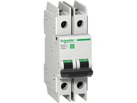 Schneider Electric Automatsikring Multi9 C60bp 2P D-Karakteristik 4A 480Y/277V Ul489