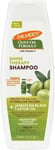 2 x Palmers Olive Oil Shampoo SHINE THERAPY SHAMPOO 2 x 400ml #H1