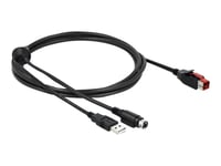 Delock - Strømforsynt Usb-Kabel - Usb Pluspower (24 V) (Hann) Til Usb, Power Mini-Din (Hann) - 24 V - 2 M - Svart