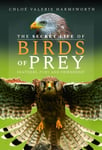 The Secret Life of Birds of Prey  Feathers, Fury and Friendship