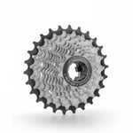 Cassette Campagnolo Primato Light 11V 18-29 Dents - Haute Qualité et Performance