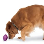 PetSafe Busy Buddy Twist 'n Treat Jouet Distributeur de friandises pour Chien Violet/XS