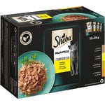 Ekonomipack: Sheba 144 x 85 g portionspåse - Delicatesse in Jelly Fjäderfä