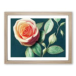 Super Rose Flower H1022 BLK Framed Print for Living Room Bedroom Home Office Décor, Wall Art Picture Ready to Hang, Oak A3 Frame (46 x 34 cm)