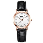 Basfur Dress Watch Fe-Montre-025-05