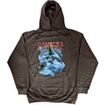 Pantera Unisex Pullover Hoodie: Far Beyond Driven World Tour (X-Large)