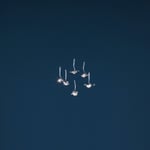 Catellani & Smith - Jackie O Chandelier, 12 LED - Kattokruunut - Enzo Catellani - Hopea