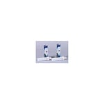 Signify - philips G24D3 master pl-c 26W 3000K /830 2 pins 62098970