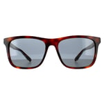 Gucci Rectangle Mens Havana Blue Sunglasses - Brown - One Size