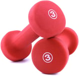 Shengluu Weights Dumbbells Sets Women Solid Cast Iron Dumbbell Hex Rubber Barbell Set For Strength Core Training Fitness Equipment (Color : Red 3 Lbs X2)