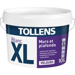 Peinture Professionnelle Blanche Velours - Spécial Séjours et Chambres Tollens Pour Murs et Plafonds - 10L = 120m2