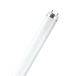 OSRAM Osram T8 L 36W/840 Lumilux Cool White G13. 1200 mm 4050300517872